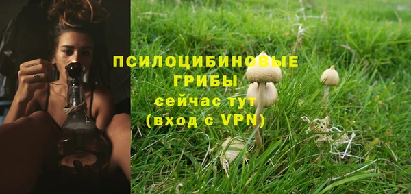 mix Каменка