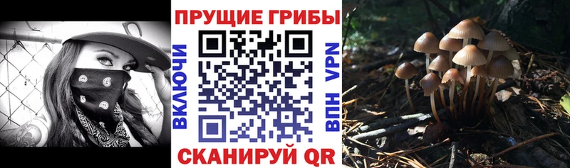 Галлюциногенные грибы MAGIC MUSHROOMS  Купить где  Бабушкин 